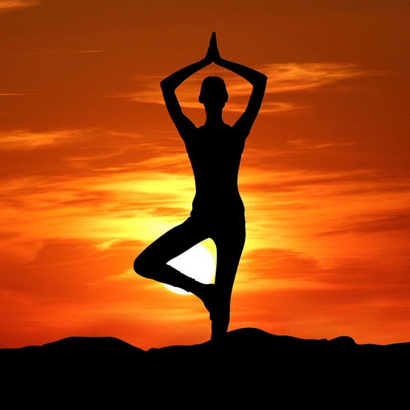 Véronique Meslay Yoga méditation bien-être