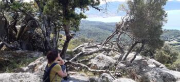 les bienfaits du silence